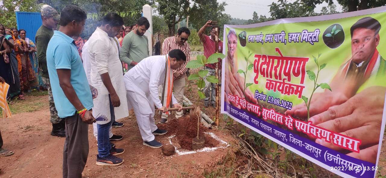 सीएम बघेल के जन्मदिन पर जशपुर विधायक ने लगाए 61 पौधे