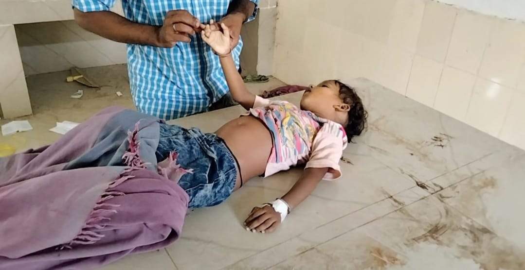 सांप काटने से दो मासूम भाइयों की मौत