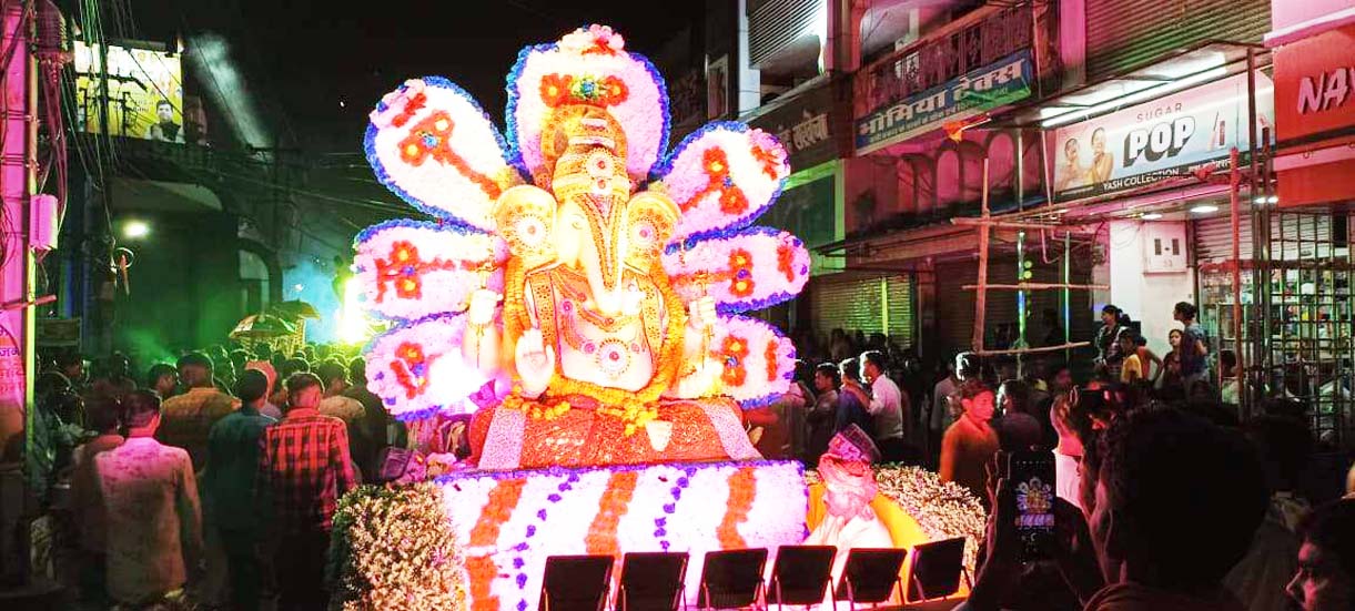 गणेश विसर्जन महोत्सव, झांकी देखने उमड़ी भीड़