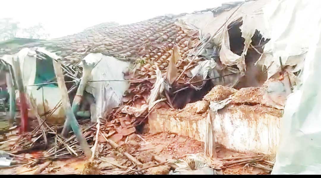हाथियों का उत्पात, तोड़े मकान