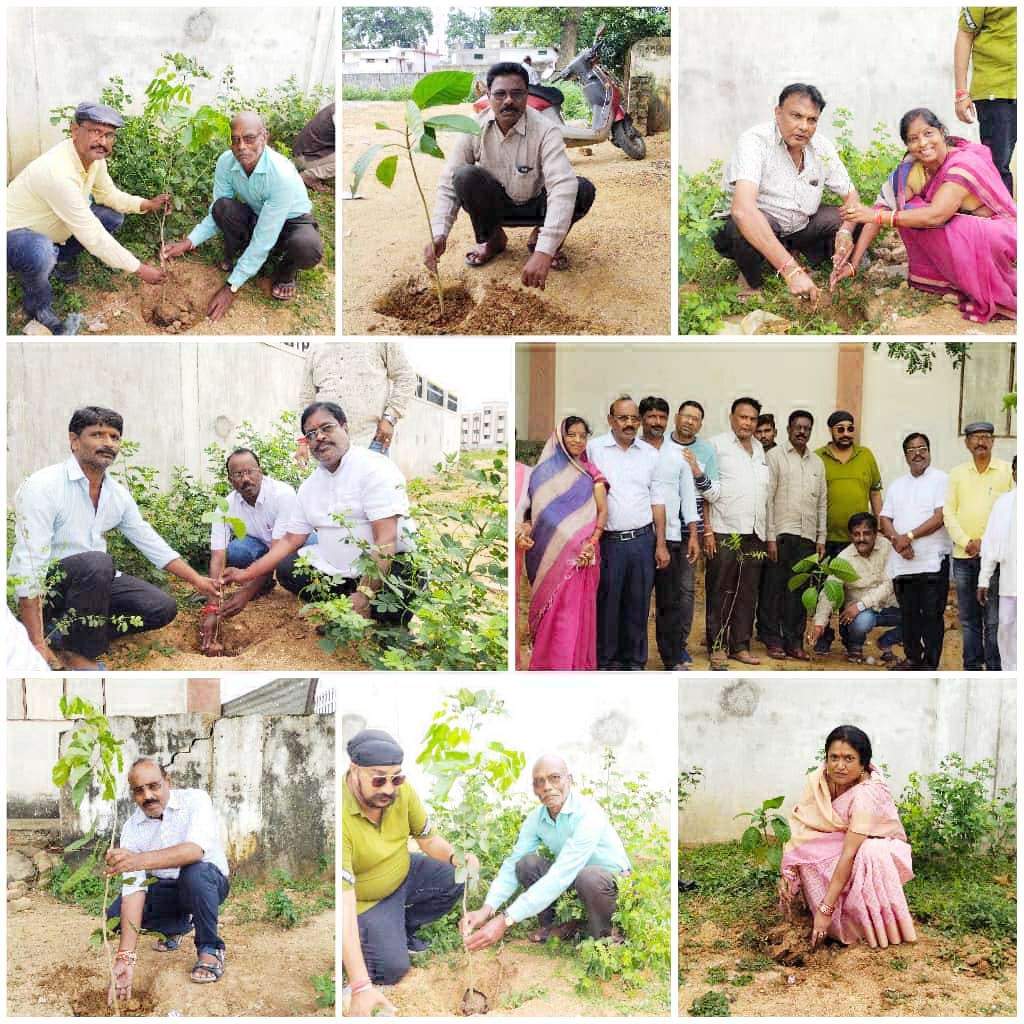 मोदी के जन्मदिन पर भाजपाइयों ने किया पौधारोपण