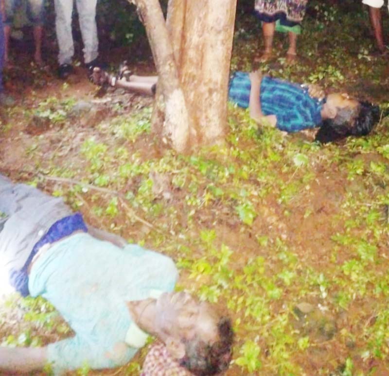 गाज से नाबालिग समेत तीन की मौत, एक गाय भी मरी गाज से नाबालिग समेत तीन की मौत, एक गाय भी मरी