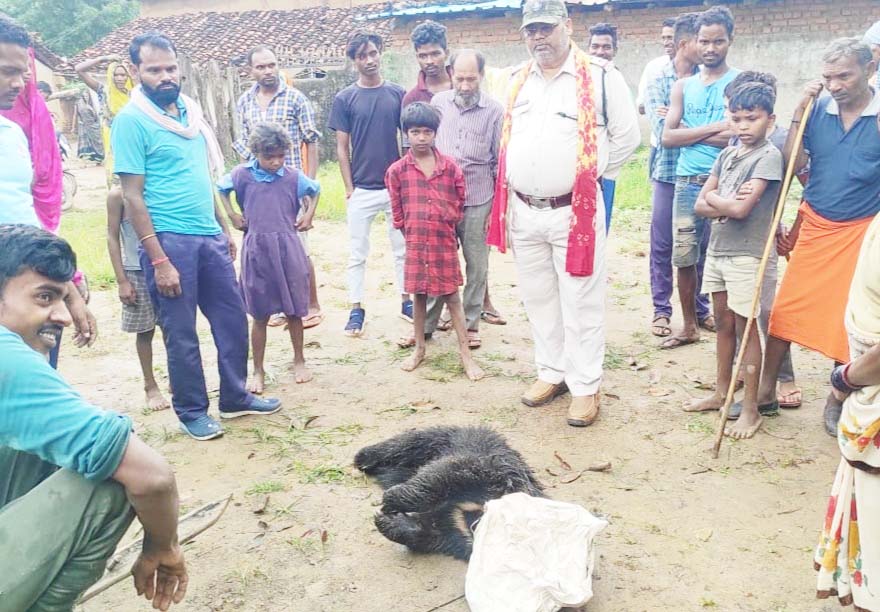 कुएं में गिरने से भालू की मौत