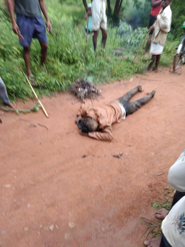 हाथी ने 2 को कुचला, एक की मौत, दूसरा गंभीर