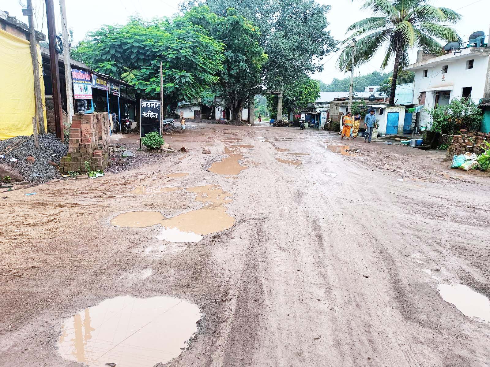 5 साल में गई 10 लोगों की जान