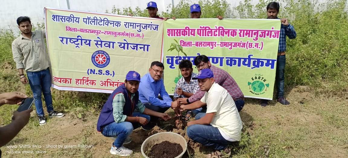 पॉलिटेक्निक कॉलेज में रोपे पौधे