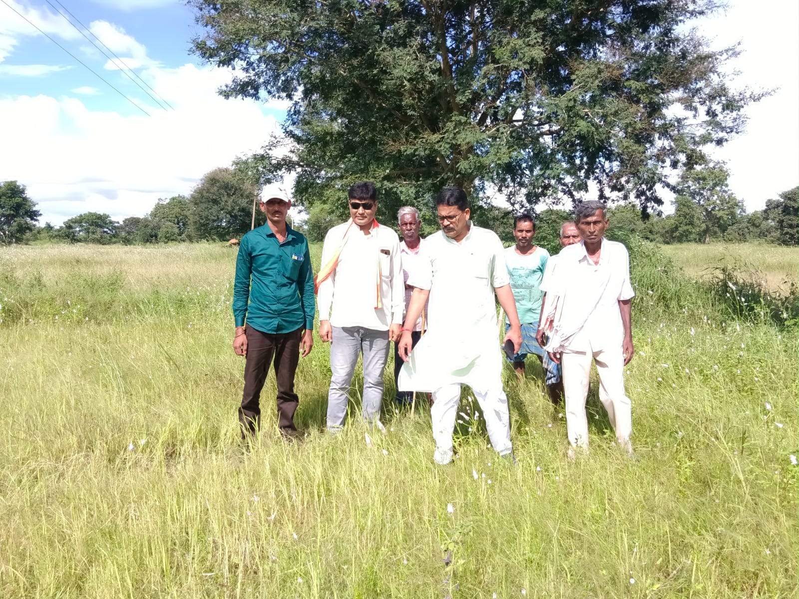 सांसद चुन्नीलाल ने धान की फसल का किया अवलोकन सांसद चुन्नीलाल ने धान की फसल का किया अवलोकन