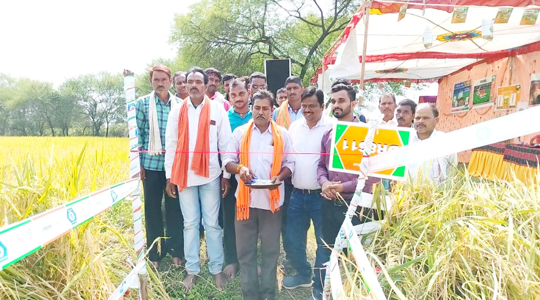 डीआर 8336 से मिला अच्छा मुनाफा