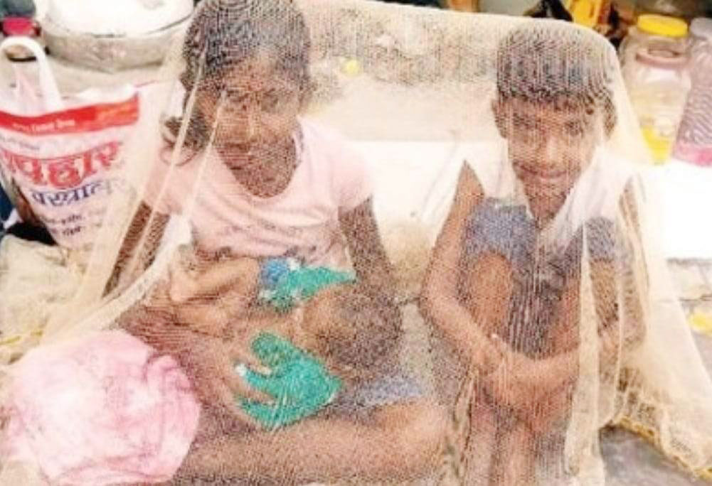दीपावली में घर-घर जाकर दिया शुभाशीष दीपावली में घर-घर जाकर दिया शुभाशीष