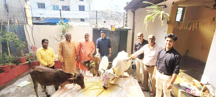 गोवर्धन पूजा पर गौवंश को खिलाई खिचड़ी