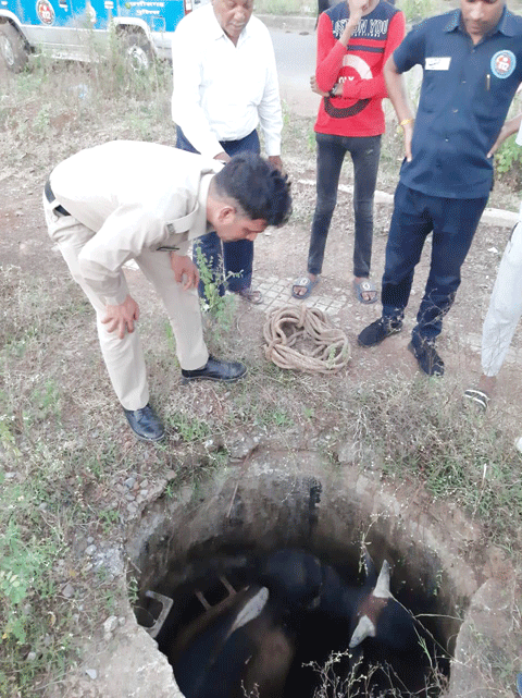 चोरों के घेरे में कमल विहार, दो चौकी खोलने का प्रस्ताव अटका चोरों के घेरे में कमल विहार, दो चौकी खोलने का प्रस्ताव अटका
