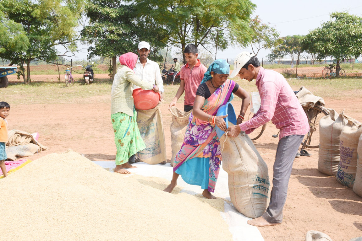 धान खरीदी महाभियान आज से शुरू,  किसानों में भारी उत्साह