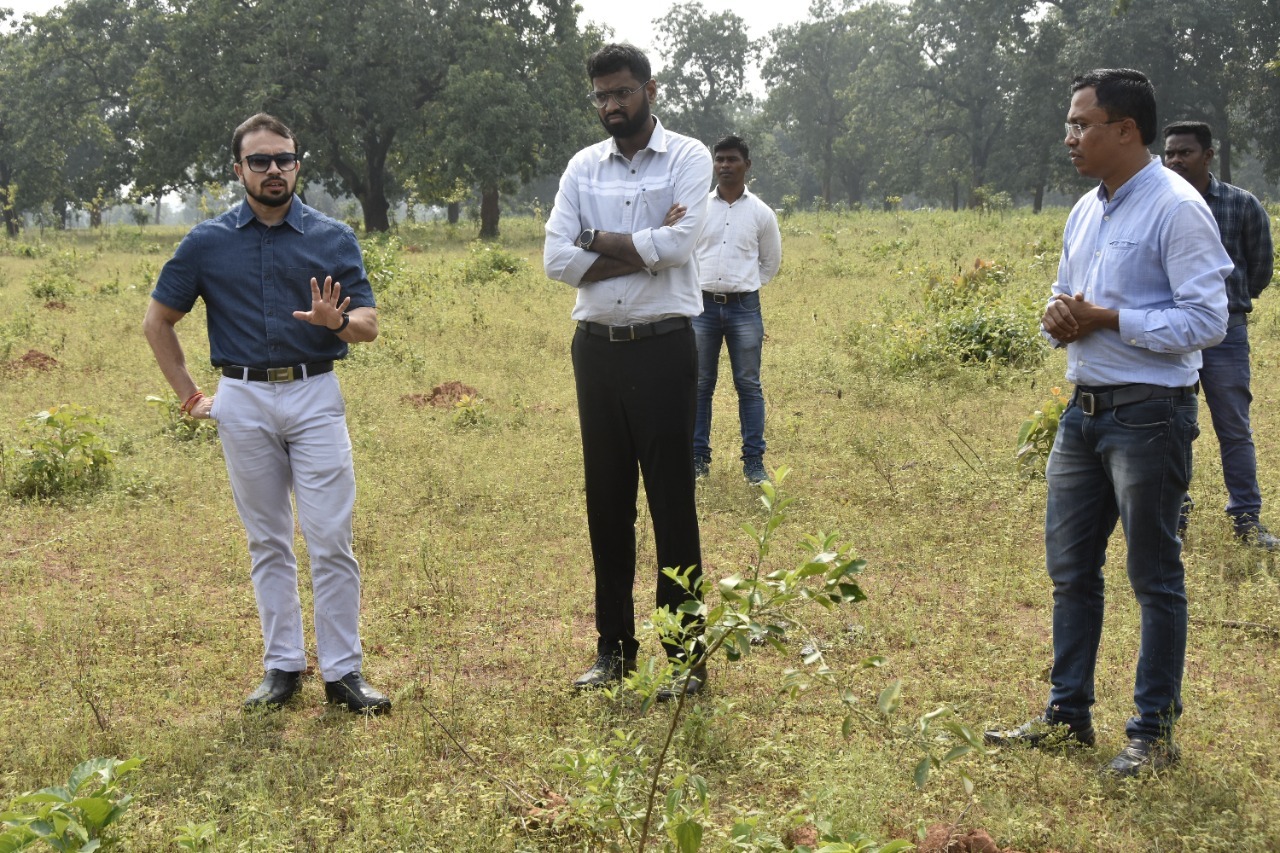 मेटापाल में कलेक्टर ने देखा पौधरोपण