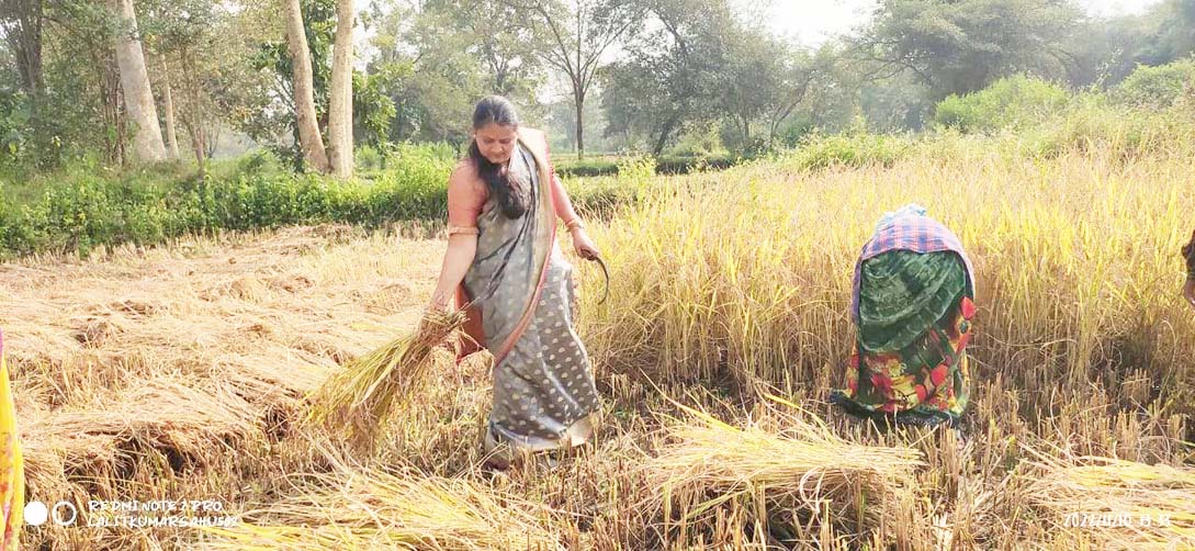 विधायक छन्नी ने मोपेड से किया क्षेत्र का दौरा