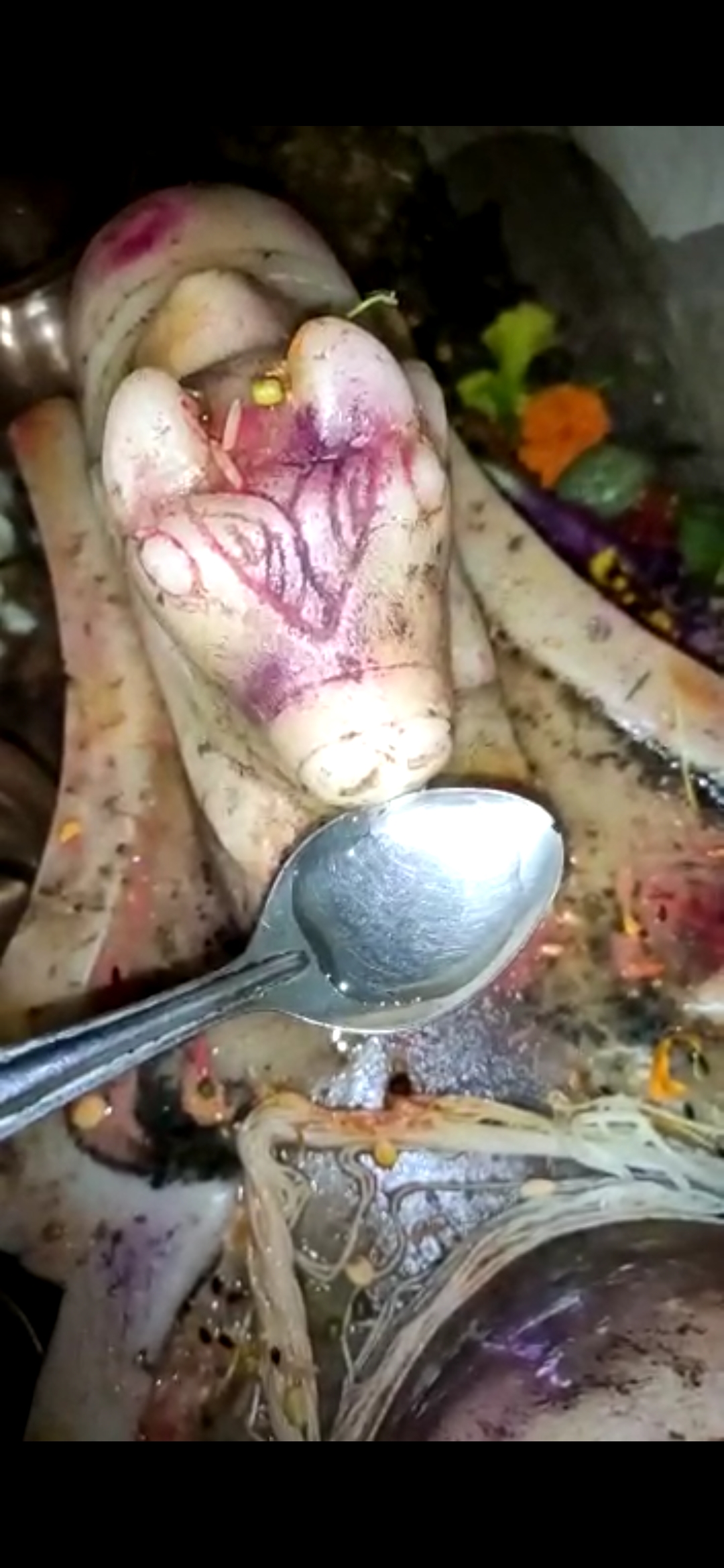 मंदिर में नंदी पी रहे जल! वीडियो फैला, लोगों की भीड़ उमड़ी मंदिर में नंदी पी रहे जल! वीडियो फैला, लोगों की भीड़ उमड़ी