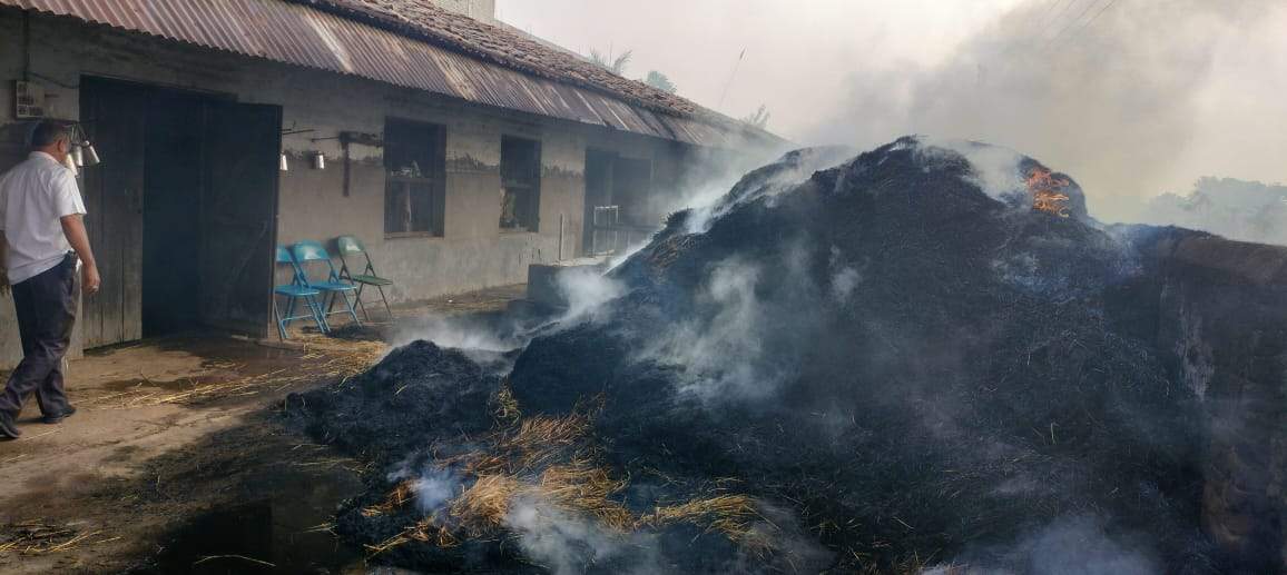 पैरा भरी ट्रैक्टर-ट्रॉली में लगी आग, काबू