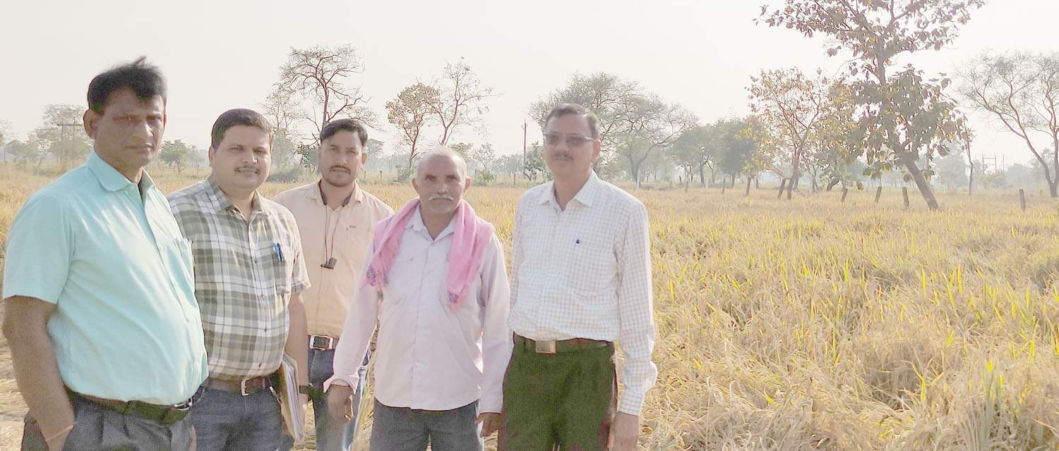 बीज उत्पादन कार्यक्रम से किसान को हो रहा फायदा बीज उत्पादन कार्यक्रम से किसान को हो रहा फायदा
