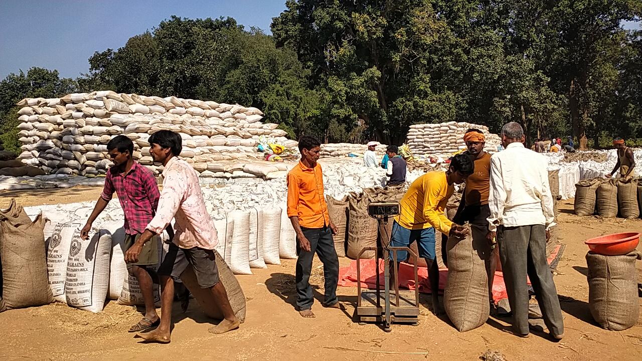 गरियाबंद में किसानों से 7 लाख क्विंटल धान की खरीदी गरियाबंद में किसानों से 7 लाख क्विंटल धान की खरीदी