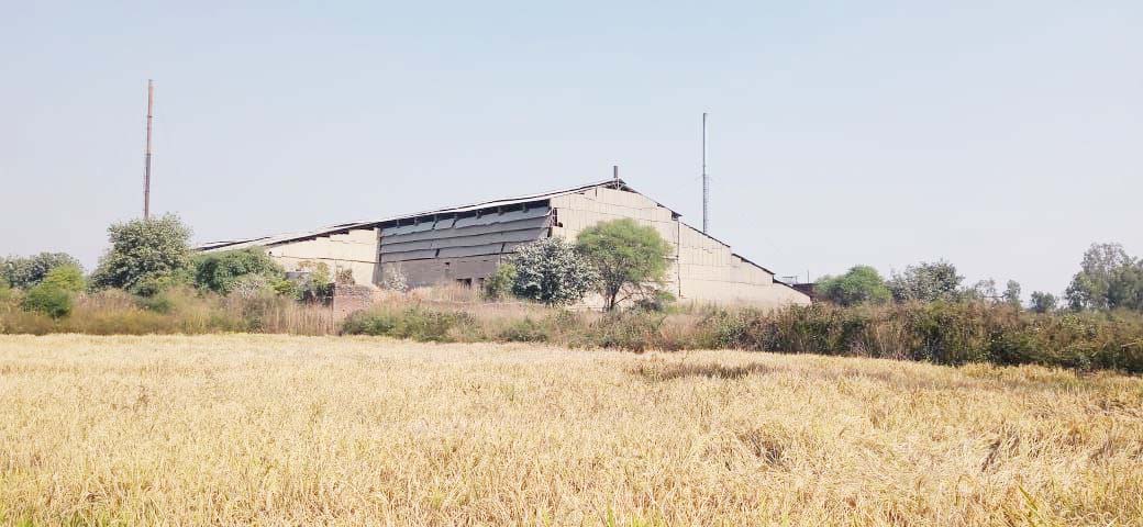 बर्बाद फसल की जांच करने पहुंचे एसडीएम बर्बाद फसल की जांच करने पहुंचे एसडीएम