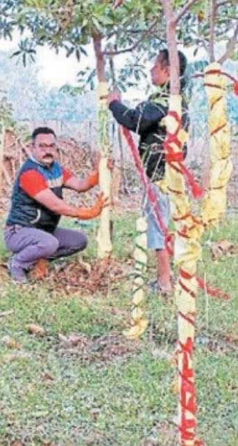 20 साल से पर्यावरण संरक्षण में जुटी है संस्था 20 साल से पर्यावरण संरक्षण में जुटी है संस्था