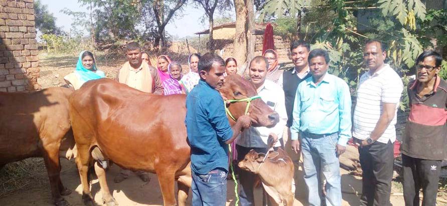 दुग्ध उत्पादन इकाई के रूप में भी गौठान को विकसित करने काम तेजी से