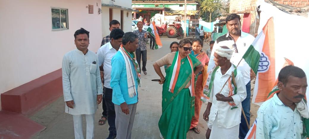 विधायक का कांग्रेस प्रत्याशी के पक्ष में डोर टू डोर जनसंपर्क