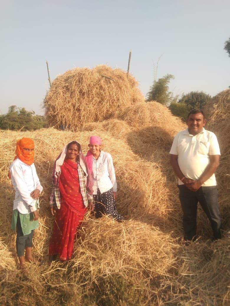 पशुचारा के लिए किसानों ने किए 93 हजार क्विंटल से अधिक का पैरादान पशुचारा के लिए किसानों ने किए 93 हजार क्विंटल से अधिक का पैरादान