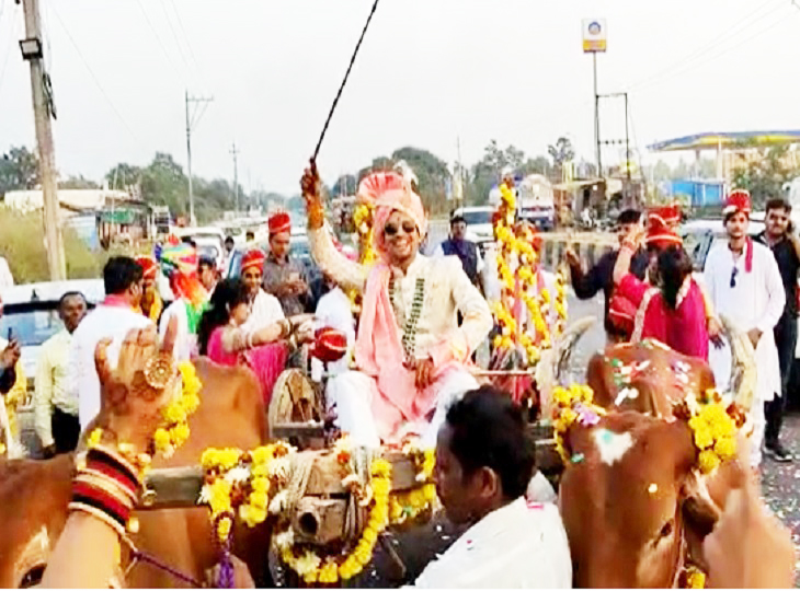 बैलगाड़ी पर सवार होकर दुल्हनिया लेने पहुंचा बैलगाड़ी पर सवार होकर दुल्हनिया लेने पहुंचा