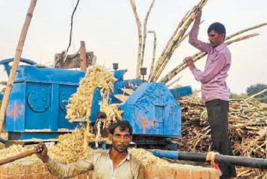 बेमेतरा में 80 करोड़ का गुड़ बाजार, पर डेढ़ दशक के बाद भी है ब्रांड की दरकार, किसान मायूस