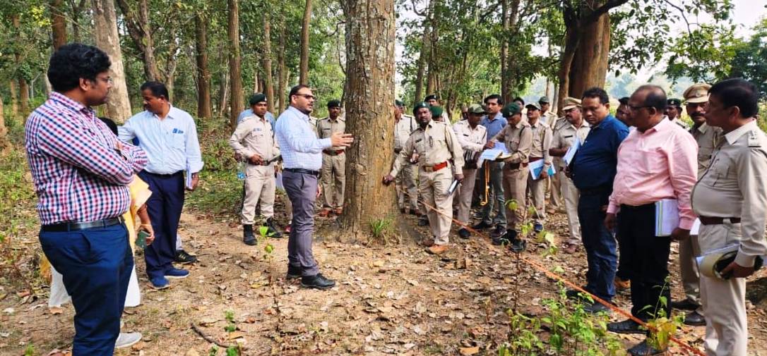 काष्ठ व्यापारियों से चर्चा, बाजार मांग अनुरुप लट्ठे निकालने कर्मियों को निर्देश काष्ठ व्यापारियों से चर्चा, बाजार मांग अनुरुप लट्ठे निकालने कर्मियों को निर्देश