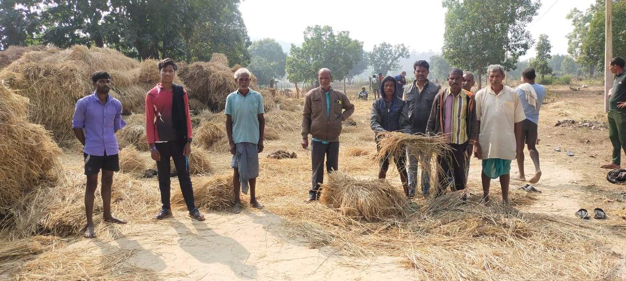 हाथियों ने फसल को पहुंचाया नुकसान किसान दहशत में, मुआवजा देने की मांग 
