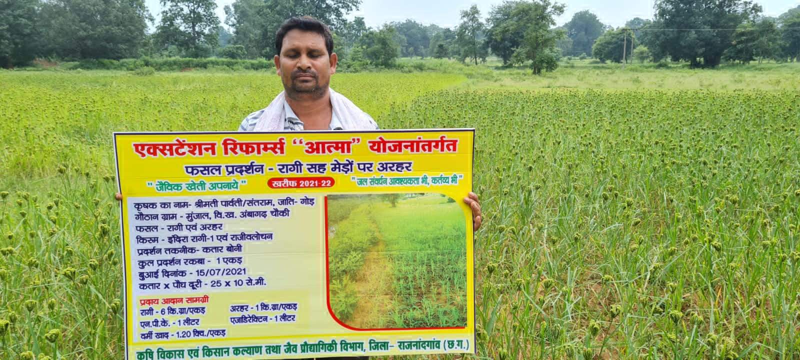 ग्रीष्मकालीन धान के बदले रागी फसल है फायदे का सौदा इच्छुक किसान करा सकते है पंजीयन ग्रीष्मकालीन धान के बदले रागी फसल है फायदे का सौदा इच्छुक किसान करा सकते है पंजीयन