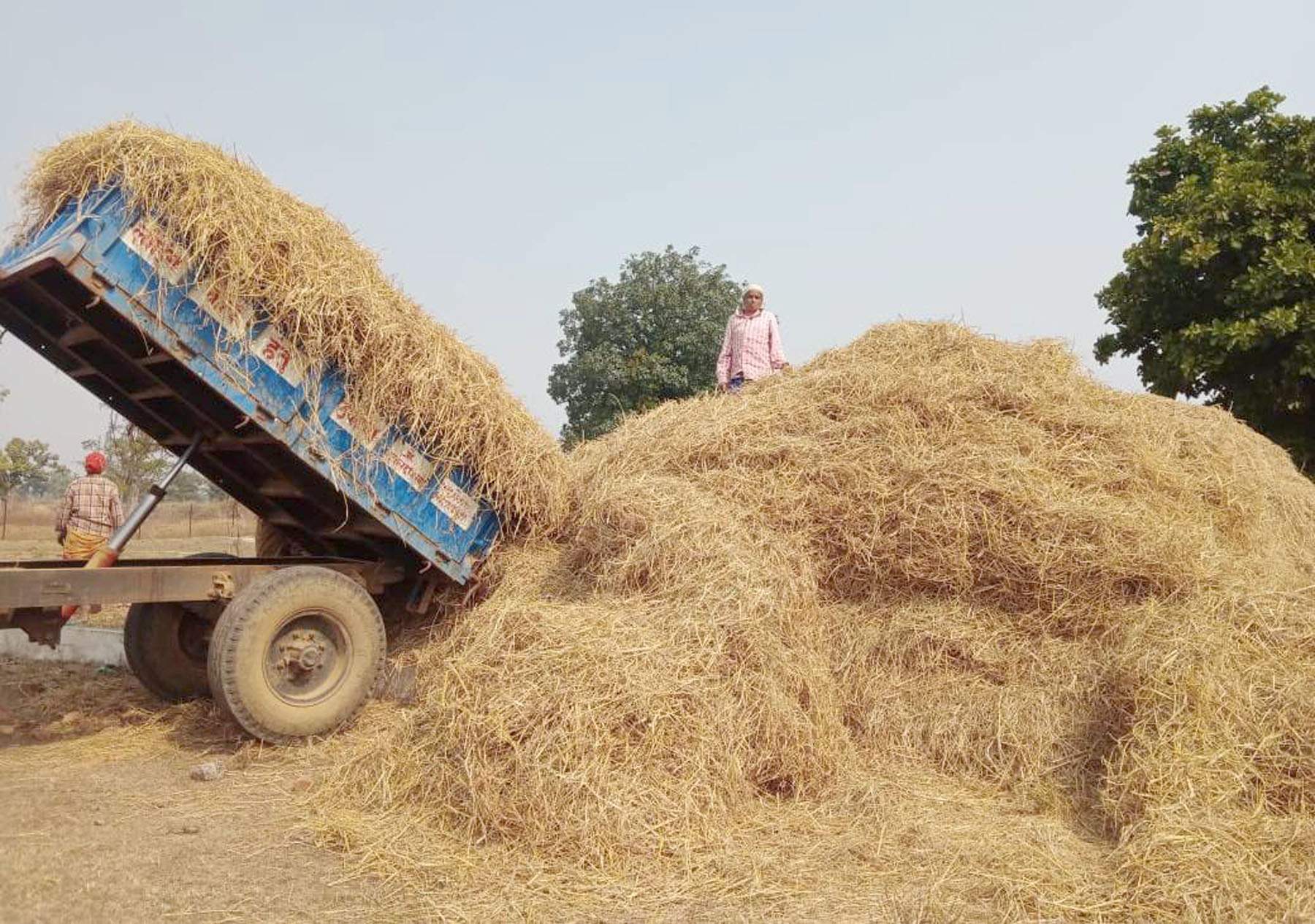 67 गौठानों में 494 ट्रैक्टर-ट्रॉली पैरादान छुरिया में पैरादान महाभियान का शुभारंभ 67 गौठानों में 494 ट्रैक्टर-ट्रॉली पैरादान छुरिया में पैरादान महाभियान का शुभारंभ