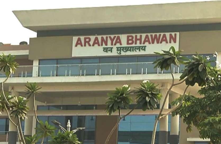 पाण्डेय-नरसिम्हराव का रिटायरमेंट इसी  माह, वन मुख्यालय में फेरबदल की तैयारी 