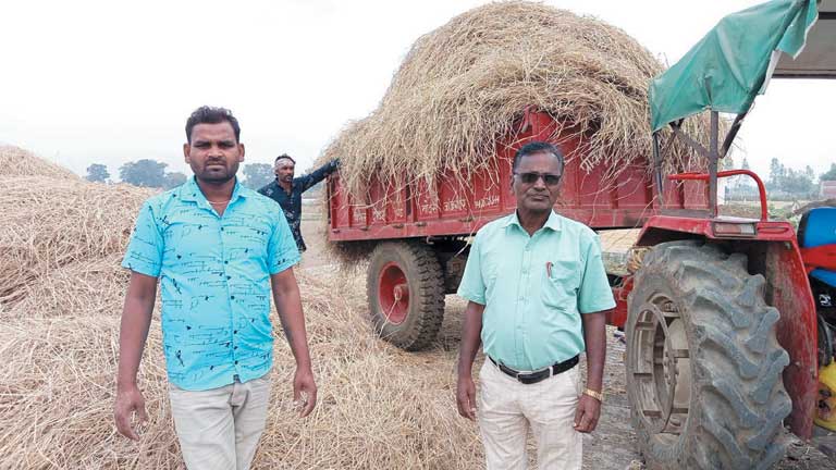 15 तक चलेगा पैरादान महोत्सव