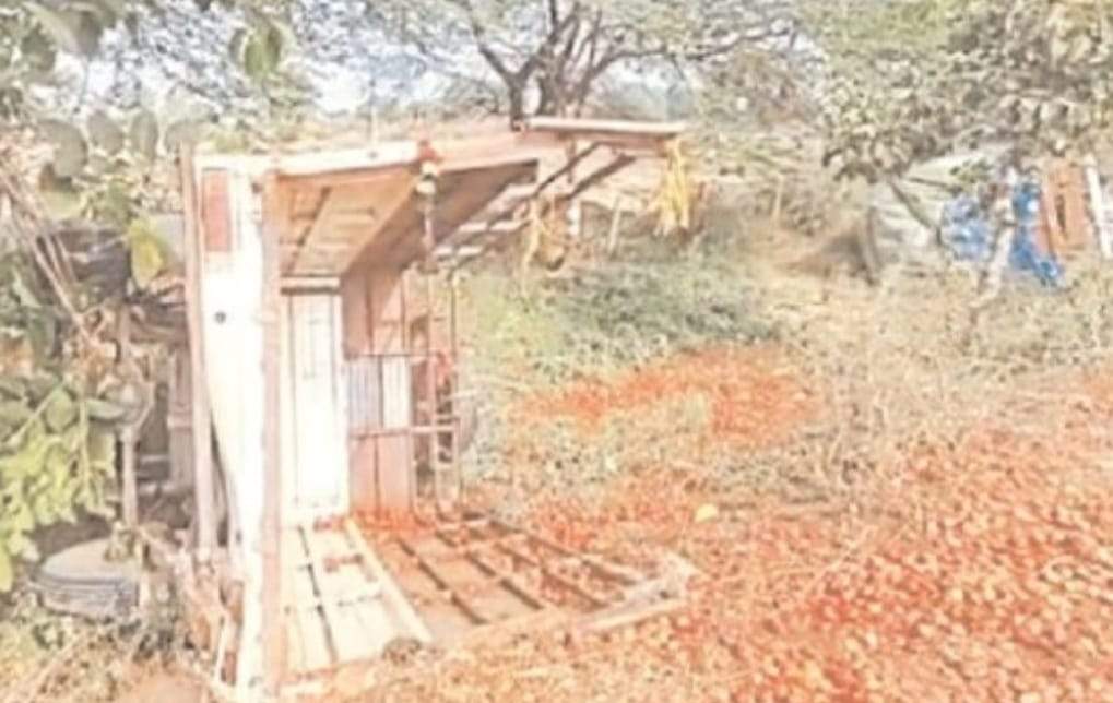 सडक़ किनारे खड़े दो वाहनों को मालवाहक ने मारी ठोकर