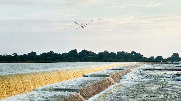 जीवनदायिनी तांदुला को संवारने बनी कार्ययोजना जीवनदायिनी तांदुला को संवारने बनी कार्ययोजना