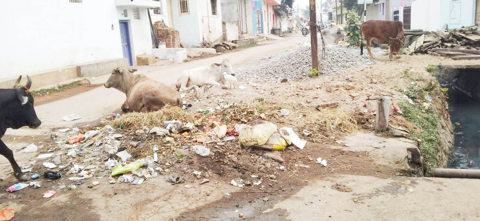 कैमरा लगाकर करें गंदगी फैलाने वालों की पहचान