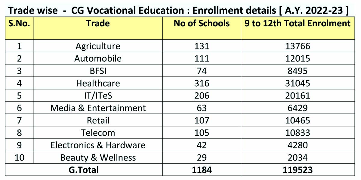 अगले नए सत्र से 12 वीं में व्यावसायिक पाठ्यक्रम का भी पर्चा, भाषा की जगह चुन सकते हैं विद्यार्थी