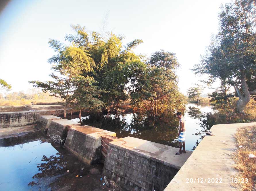 बिरझुली में बना चेकडेम, 30 हेक्टेयर में होगी सिंचाई, 4 हजार मजदूरों को मिला काम