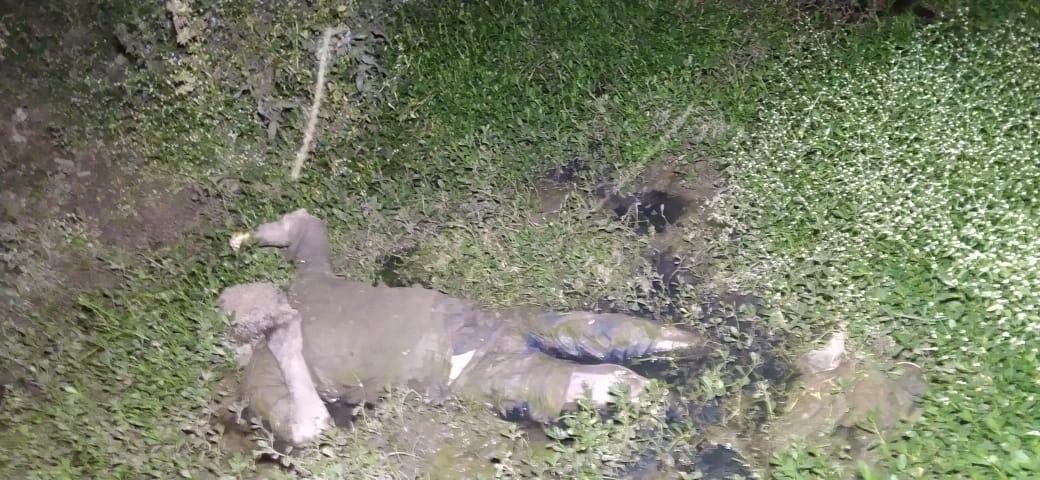  पंडरी खादी भंडार मैदान में मिली बुजुर्ग की लाश