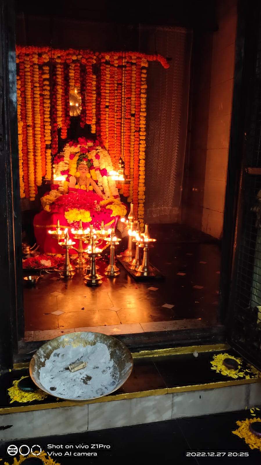 41 दिवसीय मण्डल व्रत पूजा का समापन, निकली भगवान अयप्पा की झांकी