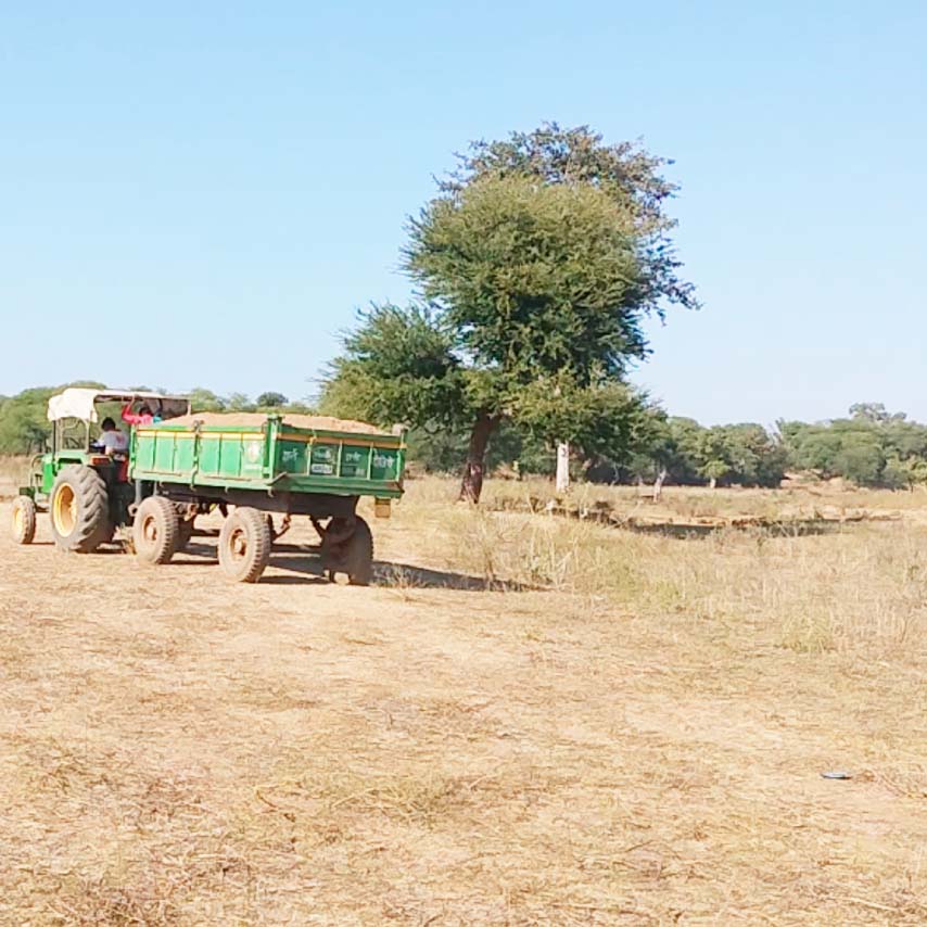 नदी से अवैध खनन व परिवहन जोरों पर !