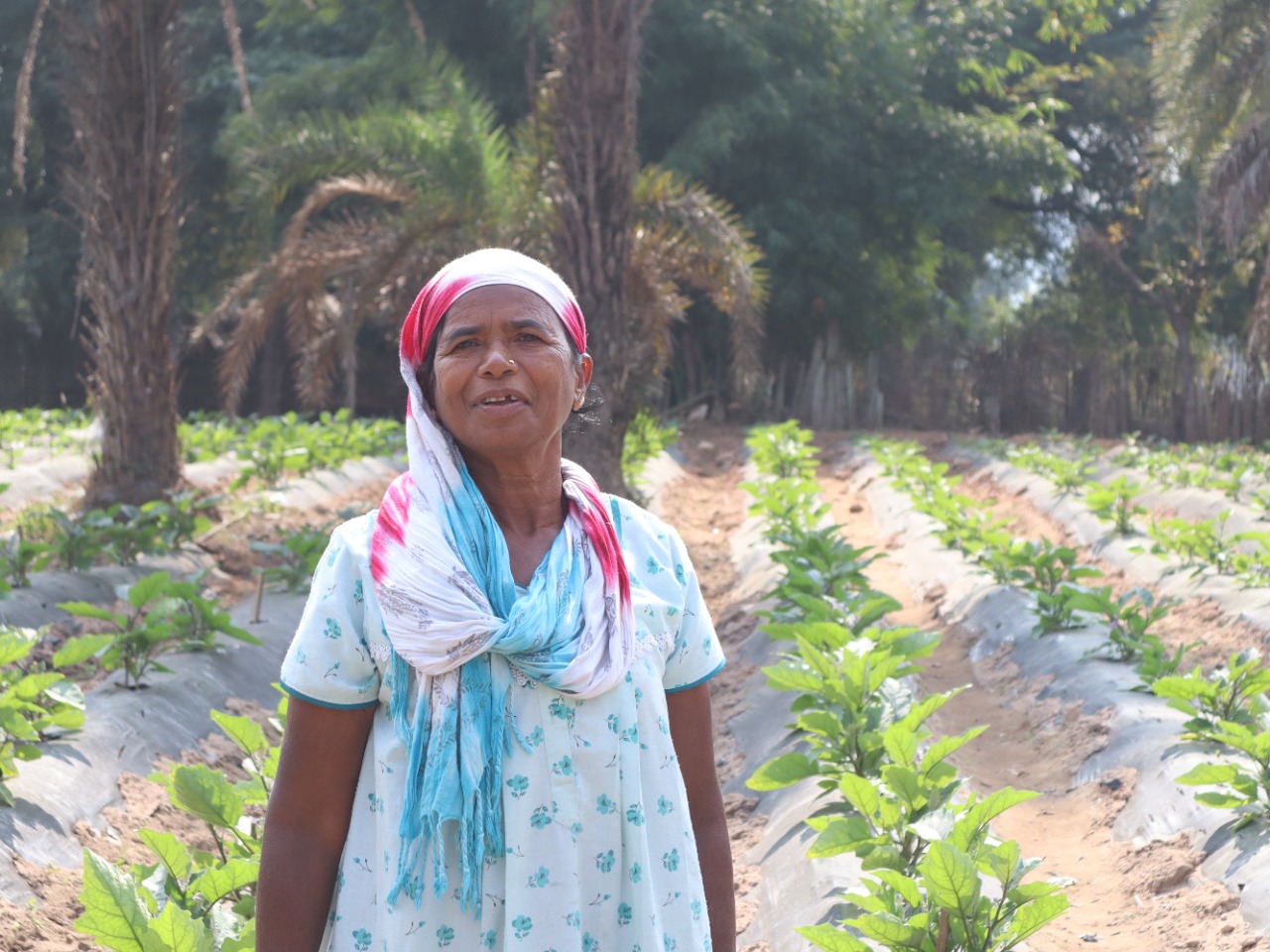 सौर सुजला योजना से लाभ लेकर अब तक 2 लाख से ज्यादा कमा चुकी हैं पाली
