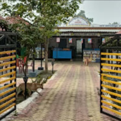 हमर चौपाटी के माध्यम से स्व-सहायता समूहों को मिल रहा रोजगार