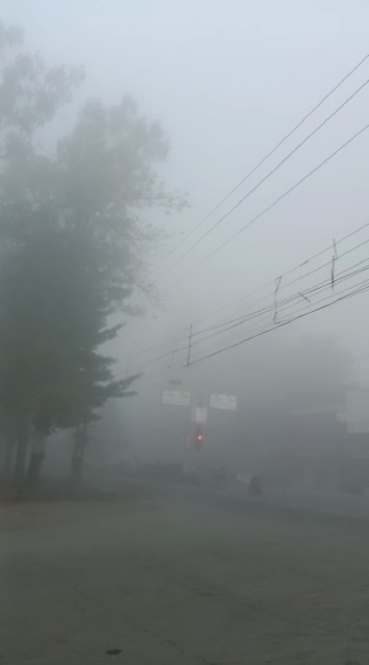 घने कोहरे के आगोश में सरगुजा, दृश्यता 10 मीटर तक सिमटी