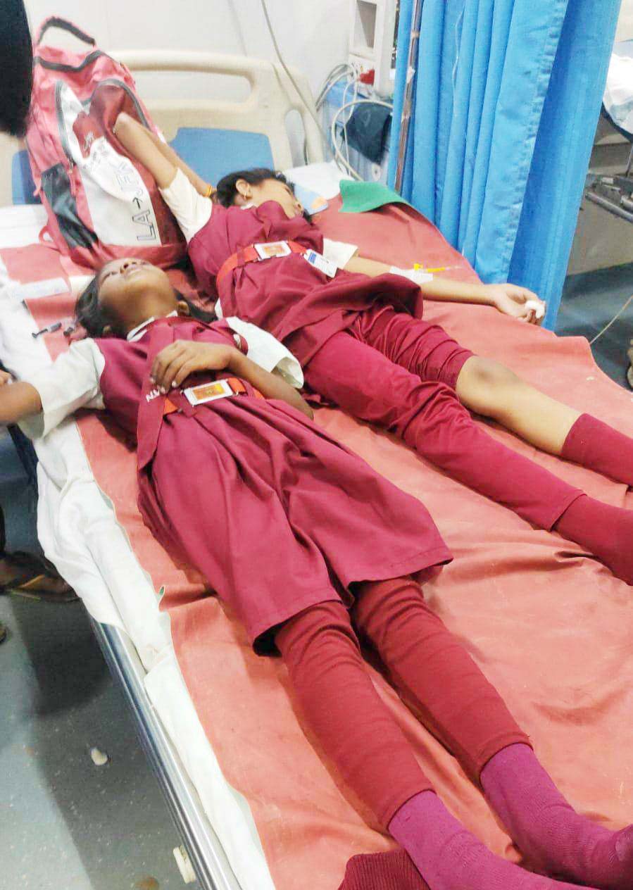 मधुमक्खी के हमले से दर्जनों घायल, 3 स्कूली छात्राओं को किया गया भर्ती