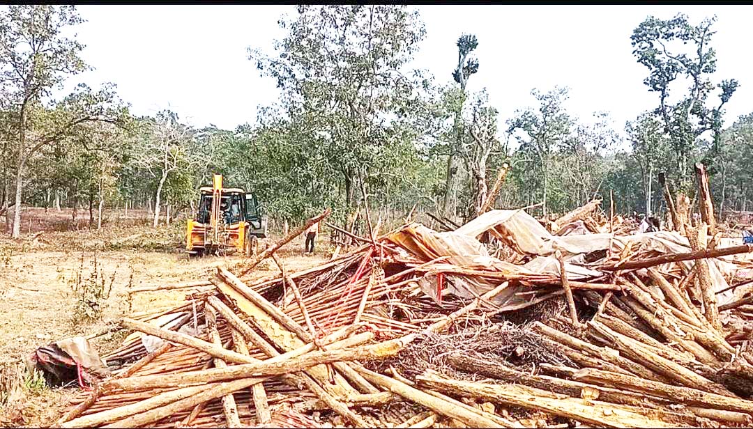 वन विभाग ने अतिक्रमणकारियों के घरों पर चलाया बुलडोजर