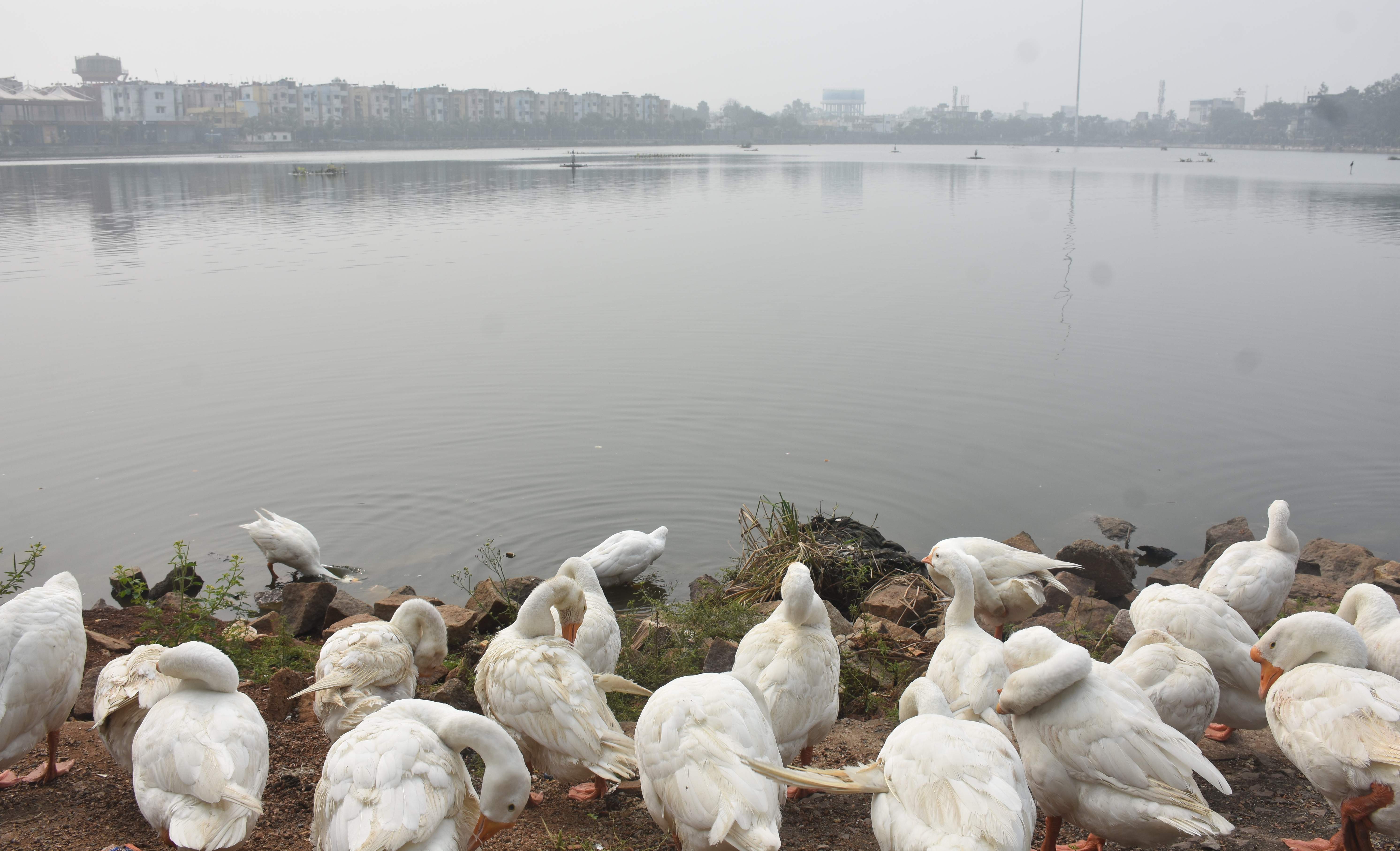 उत्तरी हवाएं प्रदेश में ठंड बढ़ाएंगी