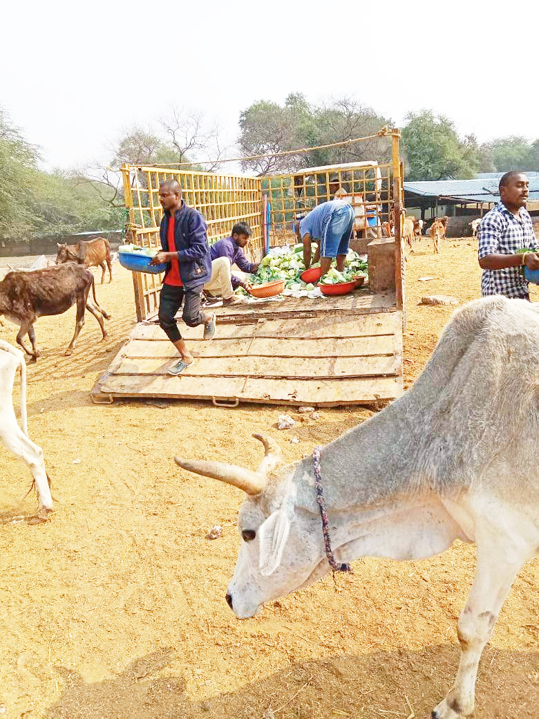 नंदा ने 10 बंडल पैरा  और   पटवा ने  16 बोरी पत्ता गोभी  दान किया